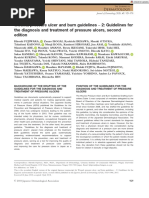 Wound, Pressure Ulcer and Burn Guidelines - 2: Guidelines For The Diagnosis and Treatment of Pressure Ulcers, Second Edition