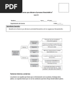 Guía N°1 Primero Medio - Fotosíntesis 2°do Semestre