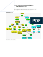 Mapa Conceptual Grupos Sanguíneos y Eritroblastosis