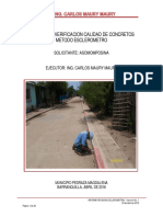 Modelo Informe Esclerometria