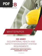 White Paper - ISO 45001 Occupational Health and Safety ManagementSystem