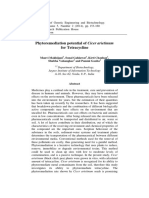 Phytoremediation Potential of Cicer Arietinum For Tetracycline