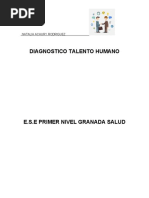 Diagnostico Talento Humano