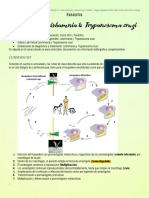 Taller 5 - Leishamnia & Trypanosoma Cruzi