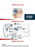 Virología Continuación