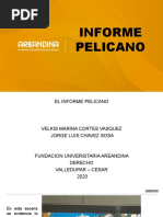 Informe Pelicano