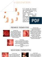 La Gestacion