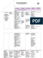 Plan de Cuidados Completo