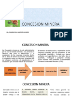 Concesion Minera