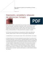 Depresión, Ansiedad y Ataques de Pánico Por Hongos - CDS - Plata C