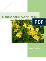 Las Plantas Oriundas Del Perú