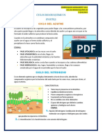 Ciclos Biogeoquimicos