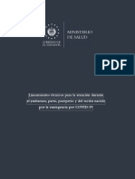 Lineamientos Técnicos para La Atención Durante El Embarazo, Parto, Puerperio y Del Recién Nacido Por La Emergencia Por COVID-19