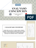 Canal Vaso Concepcion