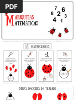 TEACCH Mariquitas Matematicas