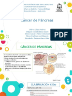 Cáncer de Páncreas