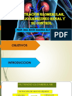 27 y 28.filtración Glomerular, Flujo Sanguineo Renal y Su Control-Reabs y Sec Tubular Renal