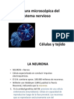 Estructura Microscópica Del SN