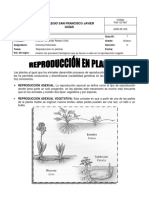 Reproduccion en Plantas Guia 7