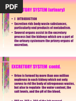 Excretory System