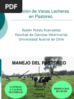 Nutricion de Vacas Lecheras en Pastoreo I 12-12-05