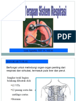 Fisioterapi Respirasi