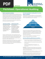 Factsheet Operational Auditing