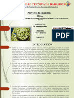 Proyecto de Inversion. (Exposicion Del Proyecto)