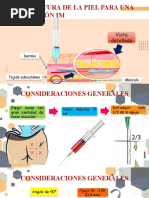 Estructura de La Piel para Una Inyección Im