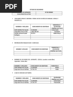 Modelo Formato Estudio de Seguridad.