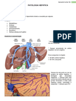 Patologia Hepática