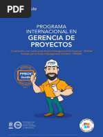 Gerencia de Proyectos