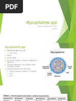 13 Mycoplasma SPP