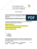 PDF Documento