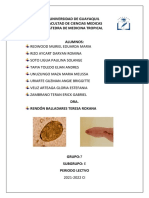 Taller Medicina Tropical Grupo e