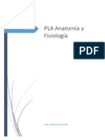 Pla Anatomia