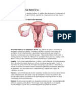 Sistema Genital Feminino