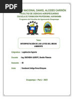 Interpretacion de Las Leyes Del Medio Ambiente