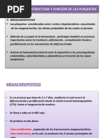 Tema 0. PRODUCCIÓN, ESTRUCTURA Y FUNCIÓN DE LAS PLAQUETAS 2