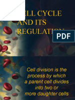 Cell Cycle