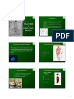 Anatomia y Fisiologia 1130802