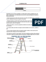 Charla de 5 Minutos Trabajo Con Escala Portatiles.