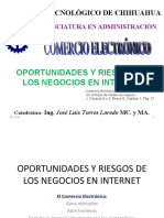 Oportunidades y Riesgos de Los Negocios en Internet