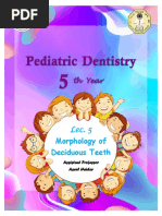 5-Morphology of Deciduous Teeth