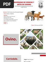 Exposición - Ovinos y Caprinos. - IDyCDAOA.