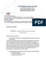 Reporte Práctica 5. Uso de Micropipetas y Extracción de ADN