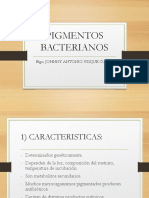 Clase Bacteriologia Pigmentos Bacterianos