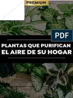 5.plantas Que Purifican El Aire de Su Hogar (Es)