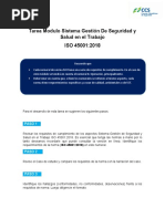 DT - 112 - 2020 - Tarea Iso 45001