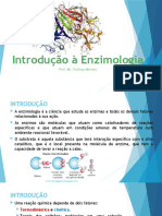 Introdução À Enzimologia